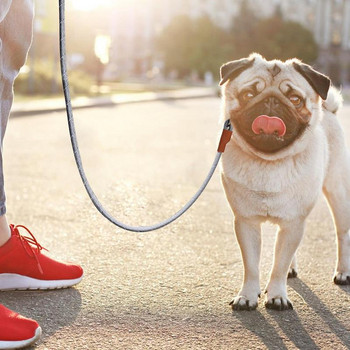 Δερμάτινο λουρί για περπάτημα βαρέως τύπου λουρί σκύλου με ρυθμιζόμενο σχοινί πρόσφυσης με άνετη λαβή Προστατευτικό λουρί σκύλου για περπάτημα