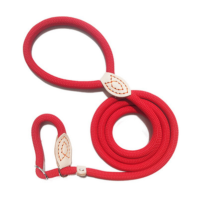 Šunų pavadėlis, slydimas, užsegamas kabliuku, virvė Pavadėlis Tvirtas pintas šunų dresūros pavadėlis, skirtas treniruoti vidutiniams ir mažiems šunims
