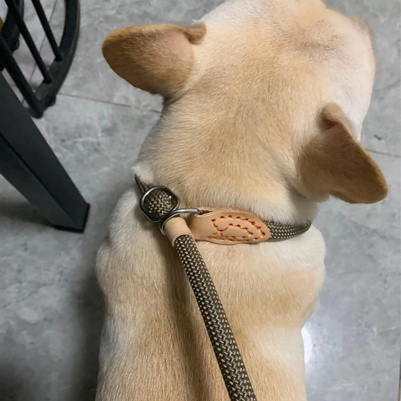 Šunų pavadėlis, slydimas, užsegamas kabliuku, virvė Pavadėlis Tvirtas pintas šunų dresūros pavadėlis, skirtas treniruoti vidutiniams ir mažiems šunims