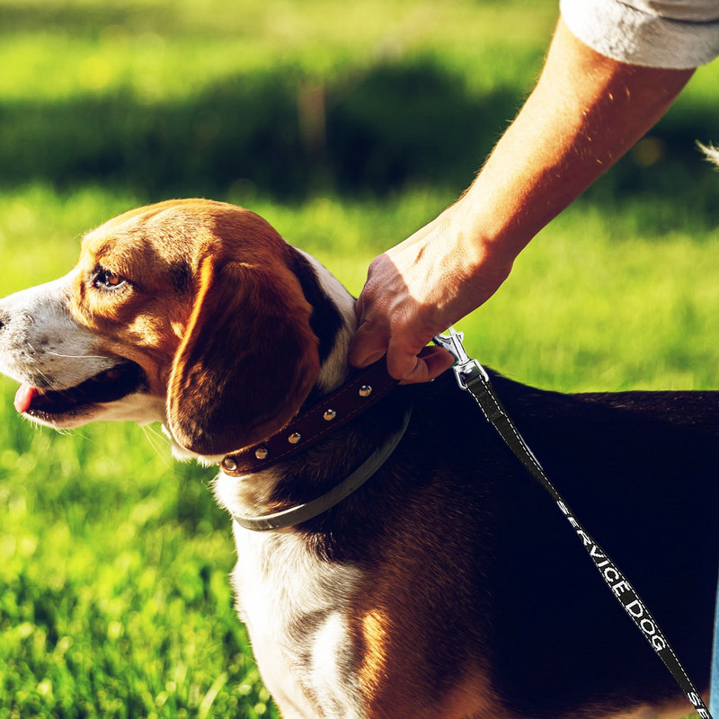 Cureaua de remorcare rezistentă Service pentru câini Aprovizionare pentru cățeluși Accesoriu convenabil pentru frânghie pentru animale de companie Lese portabile multifuncționale din metal