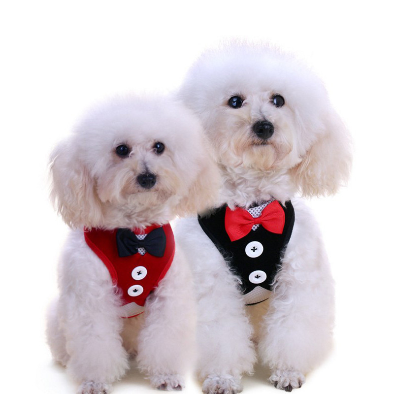 Διχτυωτό μικρό λουρί για σκύλους Nylon Puppy Dog λουριά γιλέκο Ζωντανό λουρί για περπάτημα Γιλέκο και λουρί για μικρούς σκύλους Chihuahua