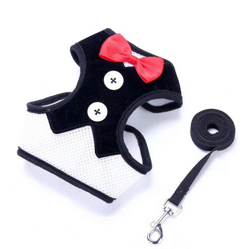 Διχτυωτό μικρό λουρί για σκύλους Nylon Puppy Dog λουριά γιλέκο Ζωντανό λουρί για περπάτημα Γιλέκο και λουρί για μικρούς σκύλους Chihuahua