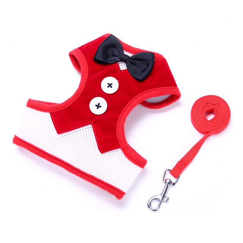 Διχτυωτό μικρό λουρί για σκύλους Nylon Puppy Dog λουριά γιλέκο Ζωντανό λουρί για περπάτημα Γιλέκο και λουρί για μικρούς σκύλους Chihuahua