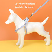 Χαριτωμένο κουνέλι, ρυθμιζόμενο λουρί για σκύλο, κολάρο λουριών από λουρί Arnes Perro, γιλέκο στήθους, χωρίς διάλειμμα, Perros Accesorios Αντικείμενο για κατοικίδια Περπάτημα