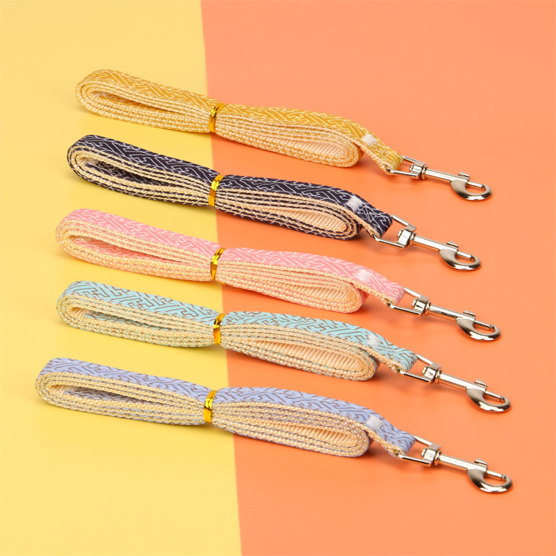 Χαριτωμένο κουνέλι, ρυθμιζόμενο λουρί για σκύλο, κολάρο λουριών από λουρί Arnes Perro, γιλέκο στήθους, χωρίς διάλειμμα, Perros Accesorios Αντικείμενο για κατοικίδια Περπάτημα