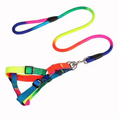 Seturi de ham cu lese puternice pentru câini, curcubeu, fire mici din nailon solide, pentru cățeluș, chihuahua, pisică, plimbări în aer liber Furnizor de produse pentru animale de companie Nou