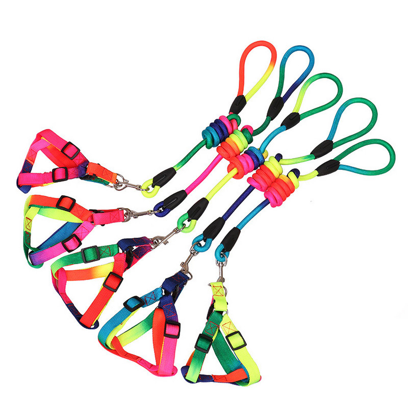 Seturi de ham cu lese puternice pentru câini, curcubeu, fire mici din nailon solide, pentru cățeluș, chihuahua, pisică, plimbări în aer liber Furnizor de produse pentru animale de companie Nou