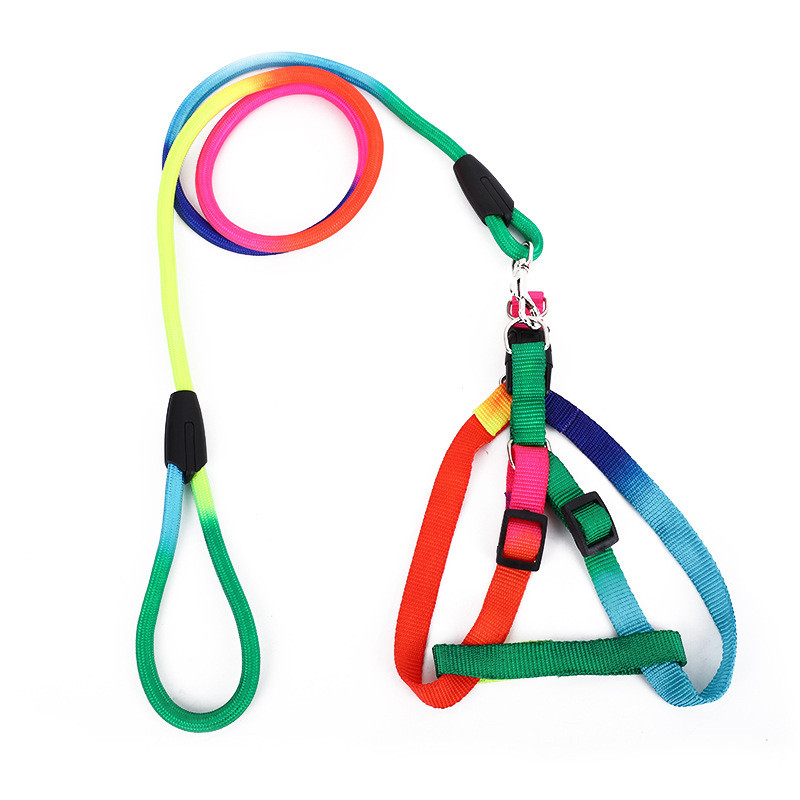 Seturi de ham cu lese puternice pentru câini, curcubeu, fire mici din nailon solide, pentru cățeluș, chihuahua, pisică, plimbări în aer liber Furnizor de produse pentru animale de companie Nou