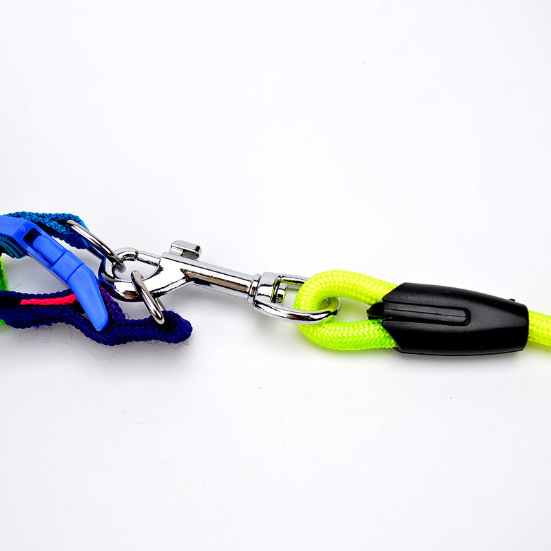 Seturi de ham cu lese puternice pentru câini, curcubeu, fire mici din nailon solide, pentru cățeluș, chihuahua, pisică, plimbări în aer liber Furnizor de produse pentru animale de companie Nou