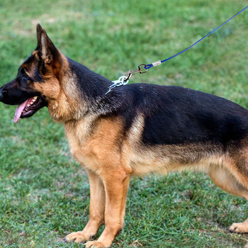 Καλώδιο δεσίματος 3 μέτρων για σκύλους για σκύλους έως 100 λίβρες βαρέως τύπου καλώδιο δέσιμο για κατοικίδια Αξεσουάρ για υπαίθριο κάμπινγκ για σκύλους
