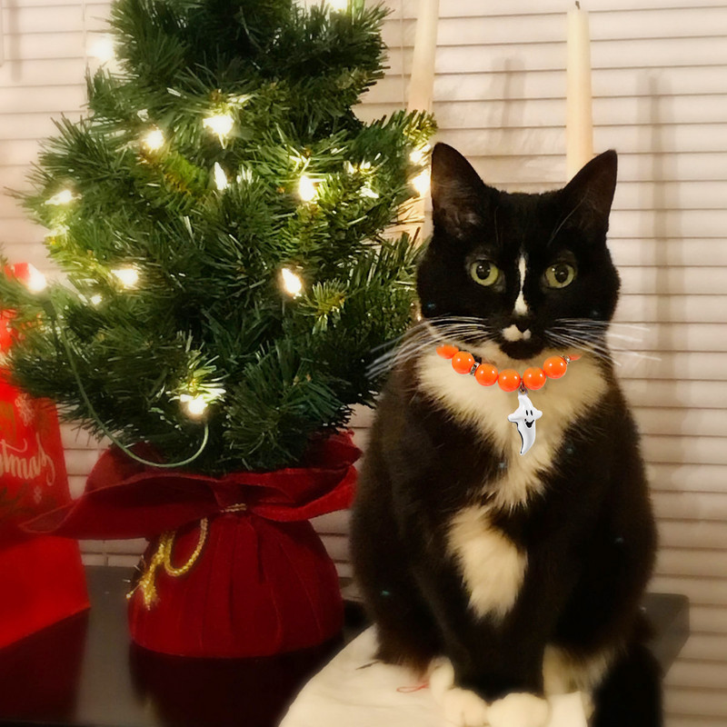 Guler pentru animale de companie Bijuterii de Halloween Cățeluș cu margele Gât de câine Decor Colier Mărgele de rășină Mic