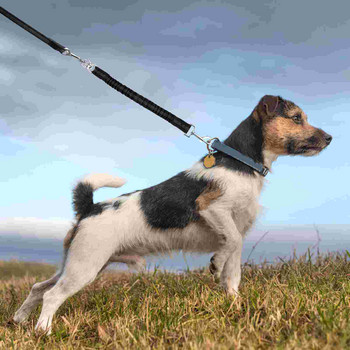 Ανακλαστικό λουρί νάιλον για σκύλους βαρέως τύπου, ανθεκτικό, ελαστικό, περπάτημα, προέκταση για τρέξιμο για μικρούς και μεσαίους σκύλους