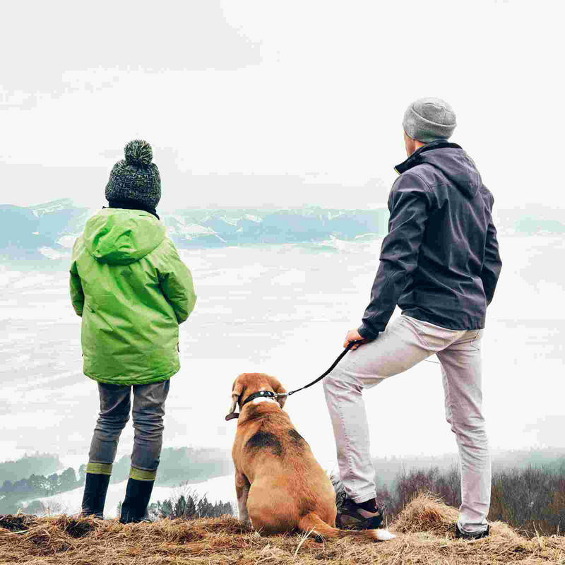 Ανακλαστικό λουρί νάιλον για σκύλους βαρέως τύπου, ανθεκτικό, ελαστικό, περπάτημα, προέκταση για τρέξιμο για μικρούς και μεσαίους σκύλους