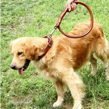 Комплект нашийник и каишка за кучета от дебела PU кожа, кръгла, здрава каишка за обучение на домашни любимци за малко средно голямо куче