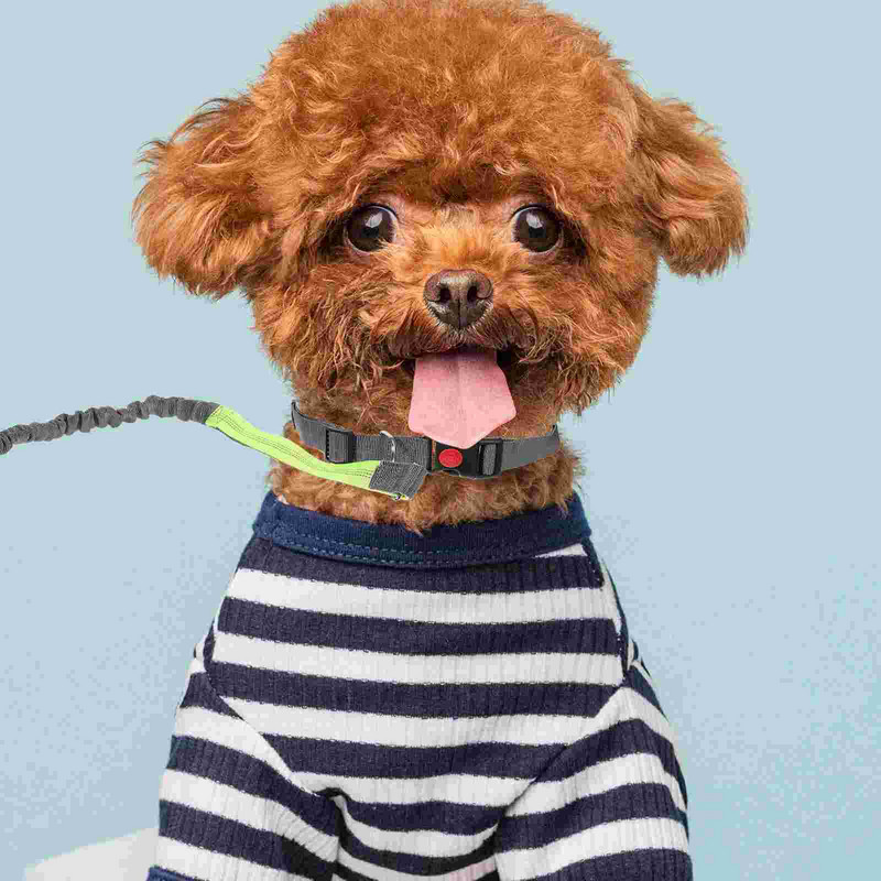 Reguleeritav kutsikarihm Lemmikkoerte jooksurihm Koerte rihm jooksmiseks kõndimiseks sörkimise treeninguks