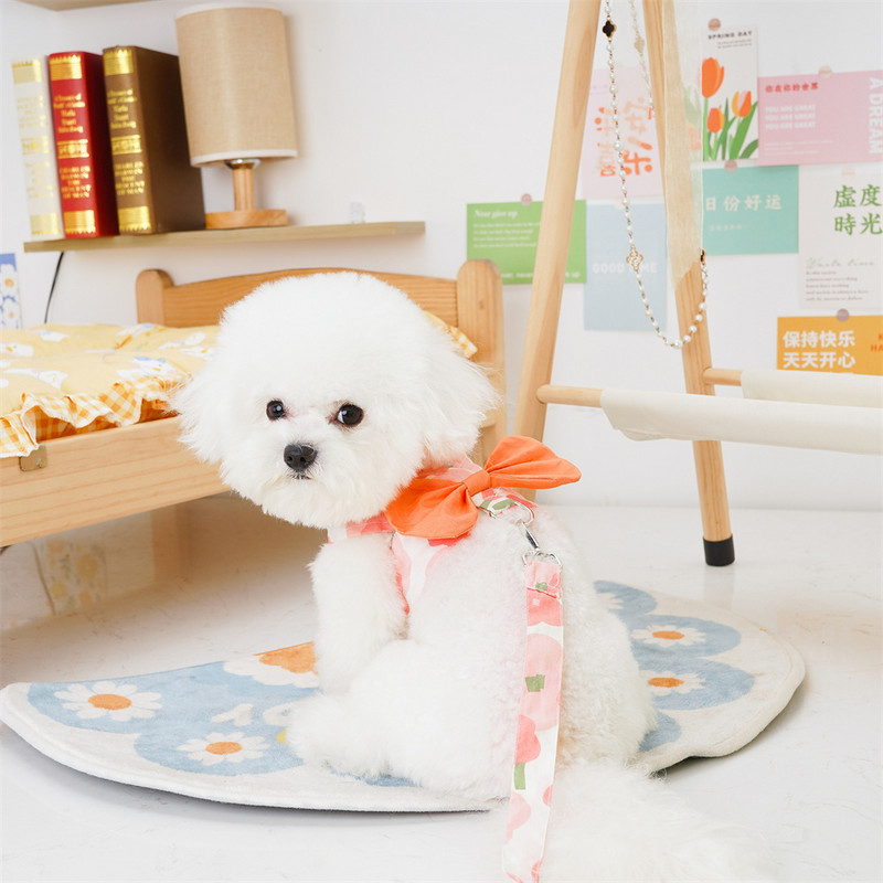 Σετ λουριών και λουριών για κατοικίδια, καλοκαιρινά ρούχα για κατοικίδια με ασορτί λουρί και χαριτωμένη διακόσμηση φιόγκων για γάτες και κουτάβια υπαίθριους σκύλους που περπατούν