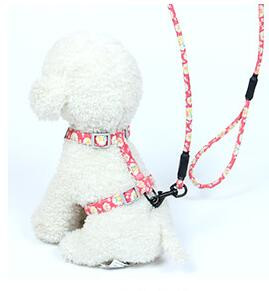 Αξεσουάρ σκύλου Λουρί Σκύλου Ρυθμιζόμενος ιμάντας καλωδίωσης Μαλακό νάιλον Μολύβδινο φανελάκι εκπαίδευσης για το γαλλικό μπουλντόγκ τσιουάουα