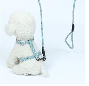 Αξεσουάρ σκύλου Λουρί Σκύλου Ρυθμιζόμενος ιμάντας καλωδίωσης Μαλακό νάιλον Μολύβδινο φανελάκι εκπαίδευσης για το γαλλικό μπουλντόγκ τσιουάουα