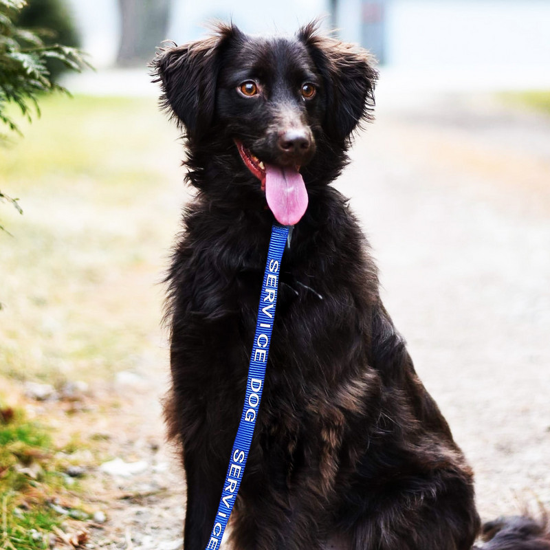 Λουρί σκύλου σέρβις Βολικό αξεσουάρ για κουτάβι με σχοινί πολλαπλών λειτουργιών για κουτάβι Μεγάλο