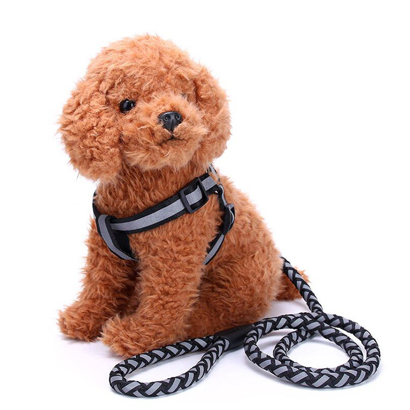 Ανακλαστικό σχοινί κατοικίδιων ζώων Ισχυρό λουρί σκύλου Ασφαλείας λουρί για κατοικίδια Ζώδια ρυθμιζόμενο φθορισμό βαδίσματος με σχοινί πρόσφυσης