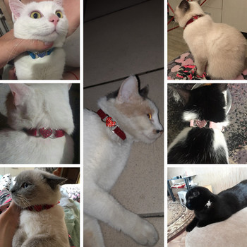 4 τμχ Χρώμα διαμαντένιο κολάρο γάτας κουτάβια κολάρα Προμήθειες για κατοικίδια Bell Cats Polyester