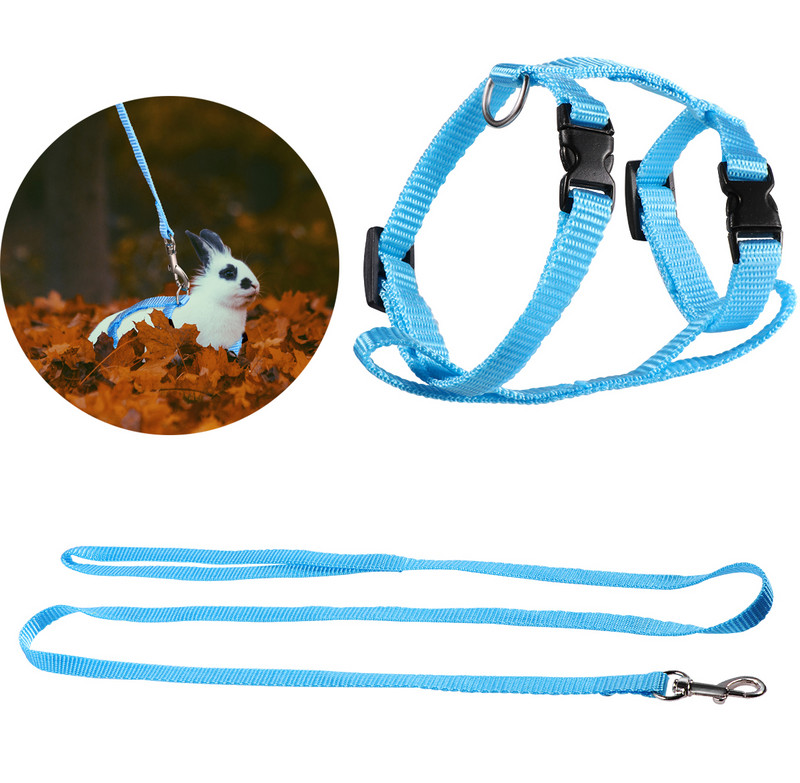 UEETEK Reguleeritavad lemmikloomade küüliku jalutusrihmad, jooksurihmad, plii lemmikloomatarbed (taevasinine)