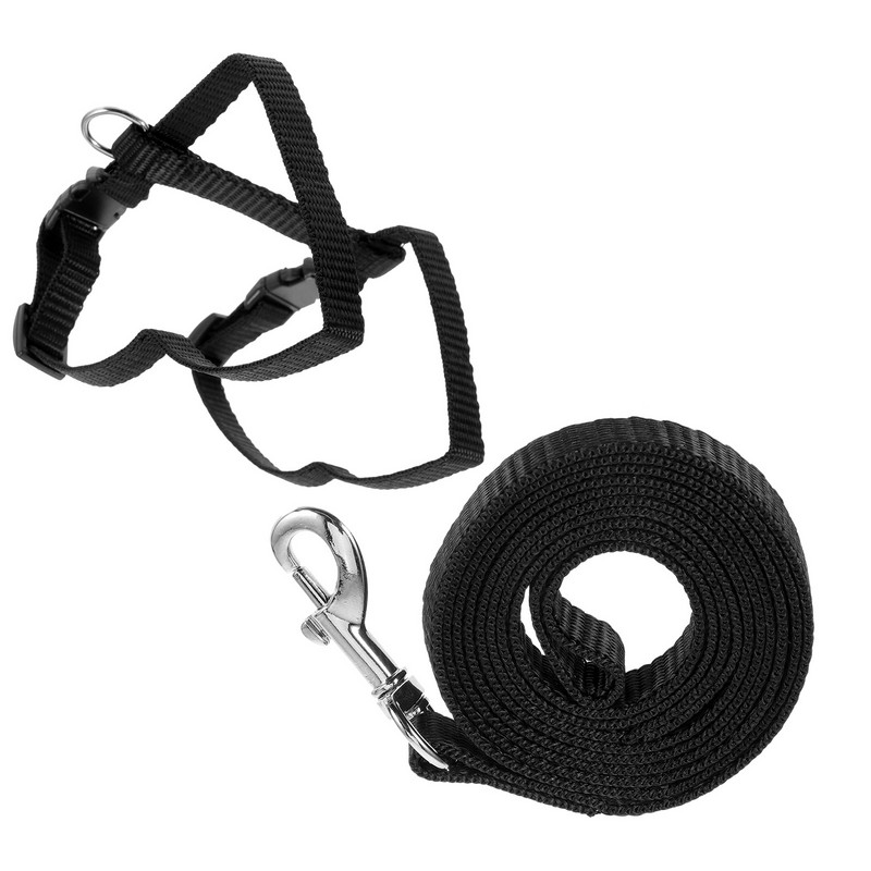 UEETEK Reguleeritavad lemmikloomade küüliku jalutusrihmad, jooksurihmad, plii lemmikloomatarbed (taevasinine)