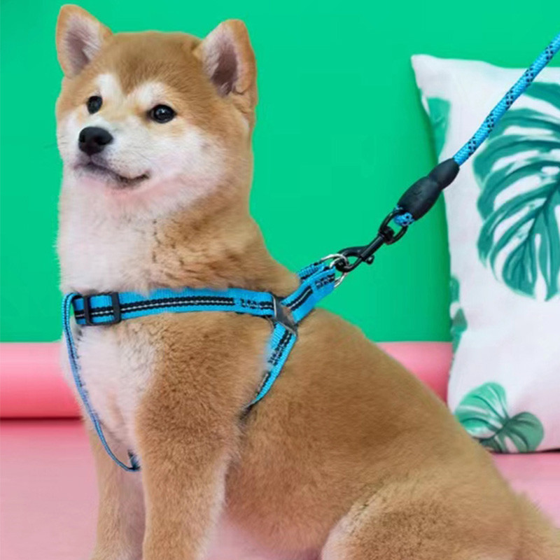 Σετ αντανακλαστικών λουριών για κουτάβι Μικρό μεγάλο σκυλί Σχοινί έλξης λουρί στήθους για κατοικίδια Ρυθμιζόμενο νάιλον γιλέκο Corgi Husky Αφρός λαβής Μόλυβδος