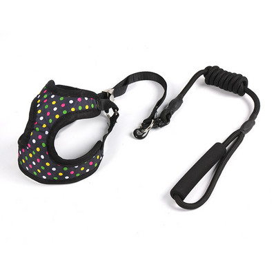 Λουρί σκύλου 1,2 m κολάρο σκύλου λουρί από νάιλον μόλυβδο σχοινιού με διχτυωτό λουρί για άνετη λαβή με επένδυση για μικρό μεσαίο σκύλο