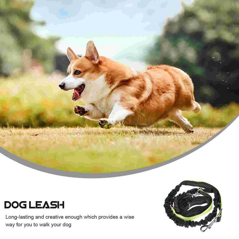 Cureaua pentru caine Lesa Funie de tractiune pentru animale de companie Plimbare Talie multifunctionala Alergare cu mainile libere