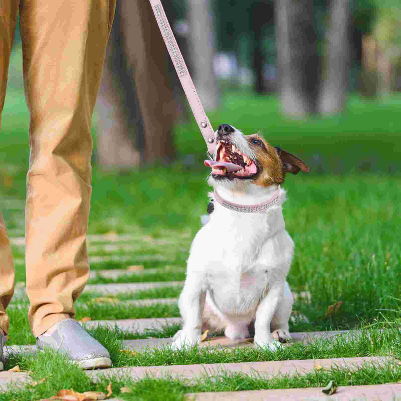 Vastupidavad jalutusrihmad, vastupidav jalutusrihm, liikluskäepide ja täiustatud Easy Snap konks, kõndimine suurte, keskmiste ja väikeste tõugude koertele