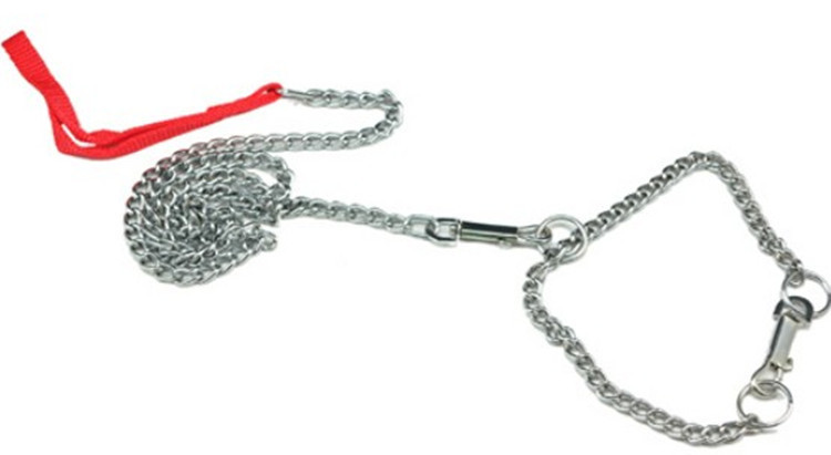 Νέα λουριά εκπαίδευσης για κατοικίδιο ζώο, λουριά για σκύλους, λουριά για σκύλους, μεσαία μεγάλα λουριά εκπαίδευσης, μπουλντόγκ, αλυσίδα 120 cm ZL136