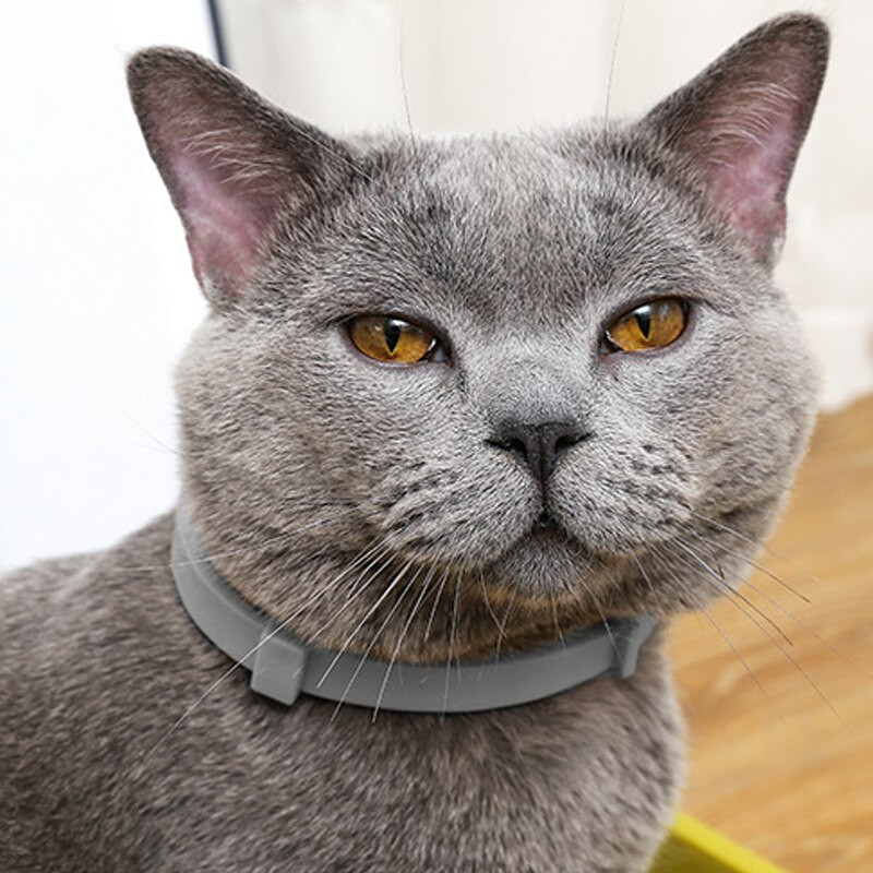 Lemmikloomade kirbuvastane kaelarihm, sääsevastane putukatõrjevahend, reguleeritav kaelarihm suurtele lemmikloomadele Kassikutsikas Vitro ussitõrje koerte tarvikud