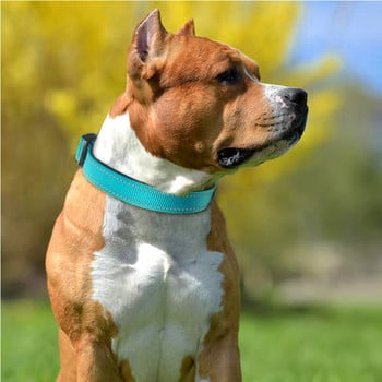 Ανακλαστικό κολάρο σκύλου, αναπνεύσιμο νάιλον κολάρο κατοικίδιων με επένδυση από μαλακό νεοπρένιο, ρυθμιζόμενο για μεσαίου μεγέθους σκύλους, λαιμός 25-60 εκατοστών