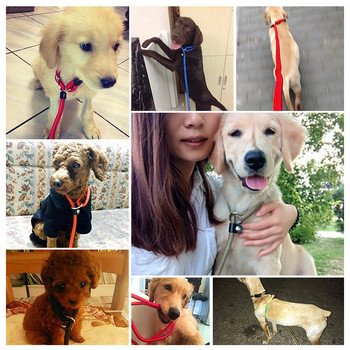 HOOPET Pet Products Golden Teddy Dog Traction Rope Chain Μεγάλο κολάρο σκύλου P Λουρί σκύλου Άνετο υλικό νάιλον 5 Χρώματα