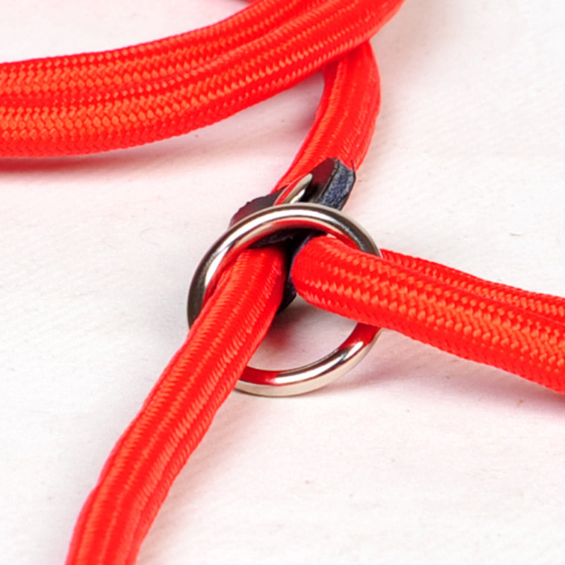 HOOPET Kisállat termékek Golden Teddy Dog vontatókötél lánc nagy nyakörv P kutyapóráz kényelmes nylon anyag 5 szín