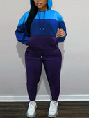 LW BASICS Set de două piese mărime Plus Set de trening cu snur cu buzunar cangur Toamnă iarnă Set de 2 buc.