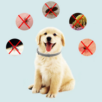 Нов 8-месечен нашийник за кучета против бълхи и кърлежи, противопаразитен нашийник за кучета, аксесоари за домашни любимци, нашийници за котки, продукти за домашни любимци, консумативи за кученца Perro