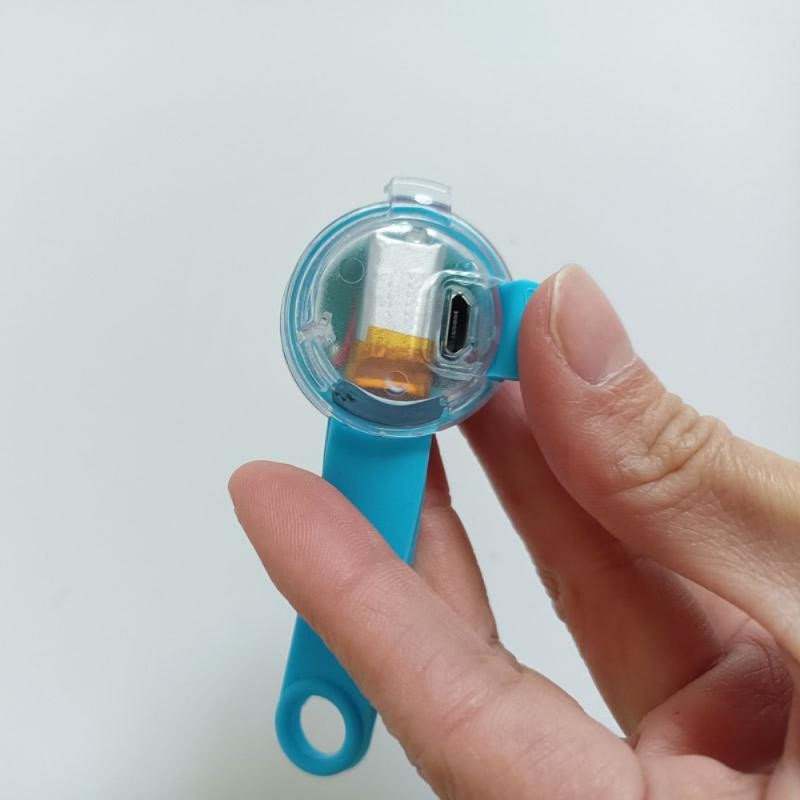 IPX7 Αδιάβροχο LED κολάρο γάτας για σκύλους κατοικίδιων ζώων Νυχτερινό κρεμαστό μενταγιόν ασφαλείας Φωτεινό φως που αναβοσβήνει με φως για αξεσουάρ για σκύλους γάτες