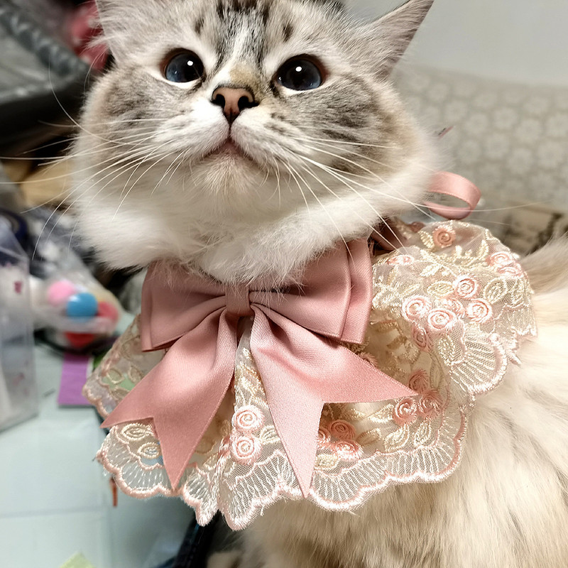 Csipke Kutya Bandana Nyomtatott Puha Nyakörv Öltöztetős Kisállat nyakkendő Kellékek Macska sál Virágos szalag Chihuahua kiskutya cica pórázhoz