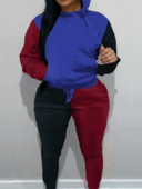 LW Есенни големи размери Нови модни многоцветни пачуърк кенгуру яка с качулка и дълги ръкави Комплекти с джобни анцузи от две части