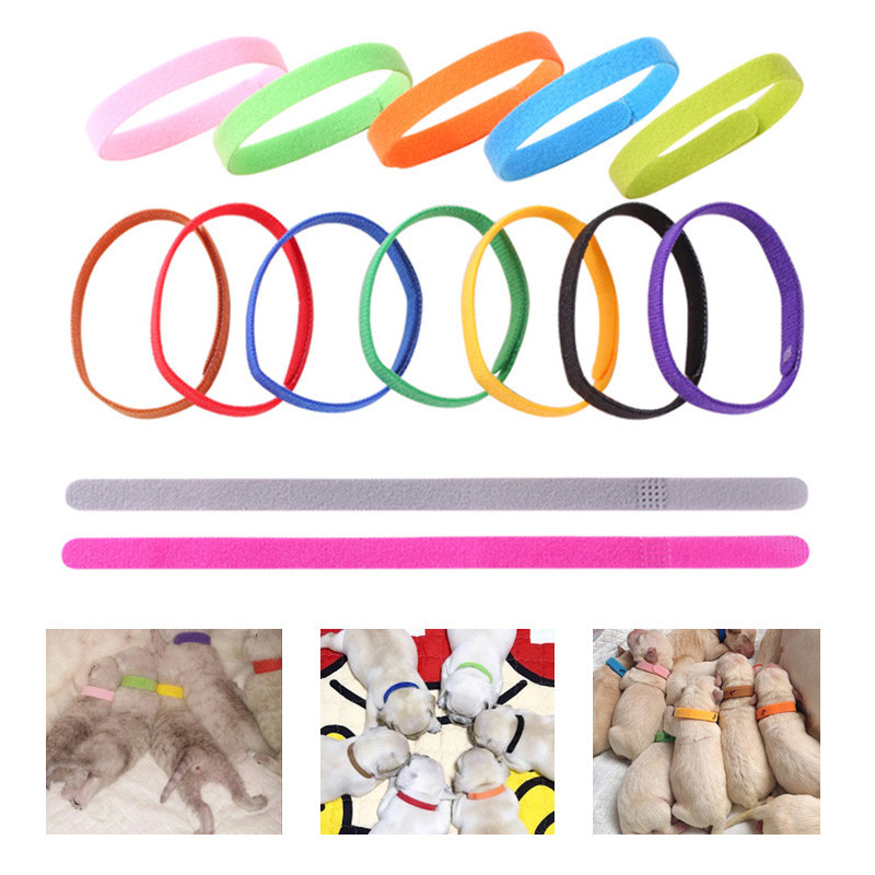 5 tk/komplekt Lemmiklooma identifitseerimise kaelarihm Juhusliku värviga kutsika vastsündinud lemmikloomad tuvastavad kaelarihma fliisist kutsika kassipoega kaelarihmad kaelakee