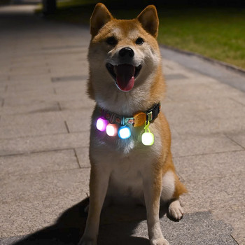Νυχτερινό μενταγιόν για κατοικίδια σκύλος Αδιάβροχο κολάρο κατοικίδιων με ασφάλεια Led μενταγιόν με φωτισμό κουτάβι που αναβοσβήνει για υπαίθρια εκπαίδευση πεζοπορίας Περπάτημα