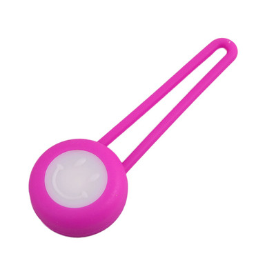 Νυχτερινό μενταγιόν για κατοικίδια σκύλος Αδιάβροχο κολάρο κατοικίδιων με ασφάλεια Led μενταγιόν με φωτισμό κουτάβι που αναβοσβήνει για υπαίθρια εκπαίδευση πεζοπορίας Περπάτημα