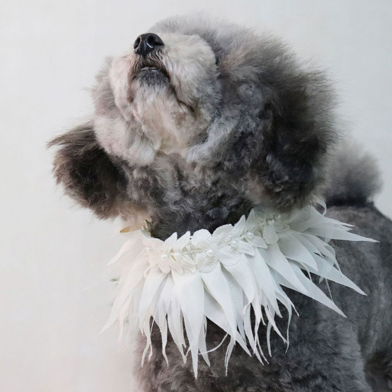 Armas koera kaelarihm Bandana lemmiklooma kaelarihmad kutsika väikese kassi kaelakee rinnatükk kaelarät sall muru seelik stiil reguleeritav kõrge kvaliteediga