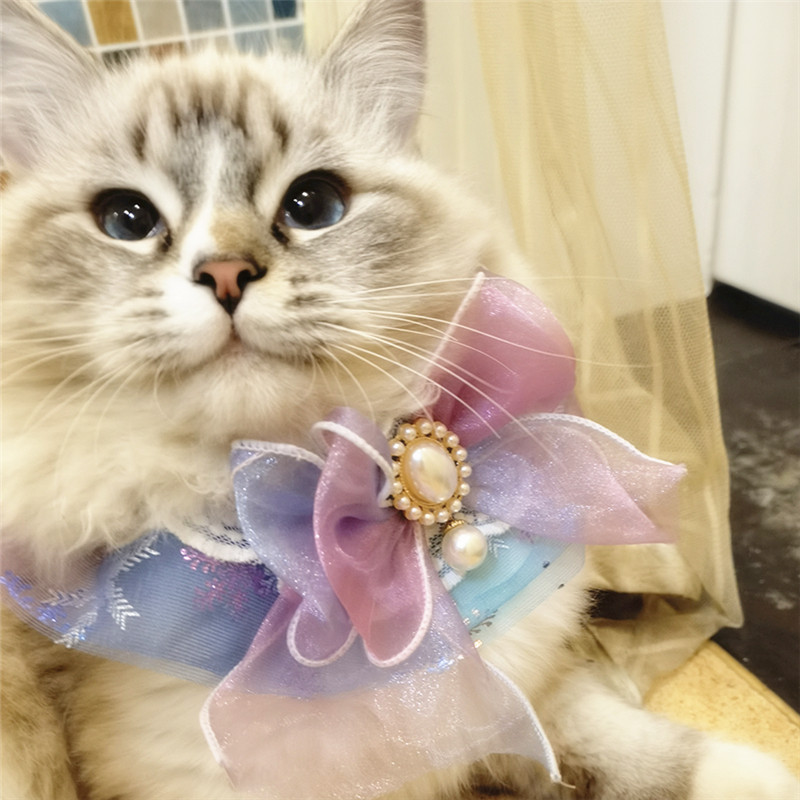 Κρεμαστό κρεμαστό γιακά με κορδέλα σκύλου, τούλι, λουράκι λαιμού για γάτα, προσαρμόσιμη σατέν πετσέτα για κουτάβι γατάκι Maltipoo