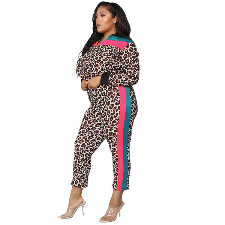 L-4XL, iarnă 2022, seturi de mărimi mari, treninguri pentru femei, cu mâneci lungi, pantaloni leopard, costume pentru femei, ținute sport, vânzare cu ridicata, dropshipping