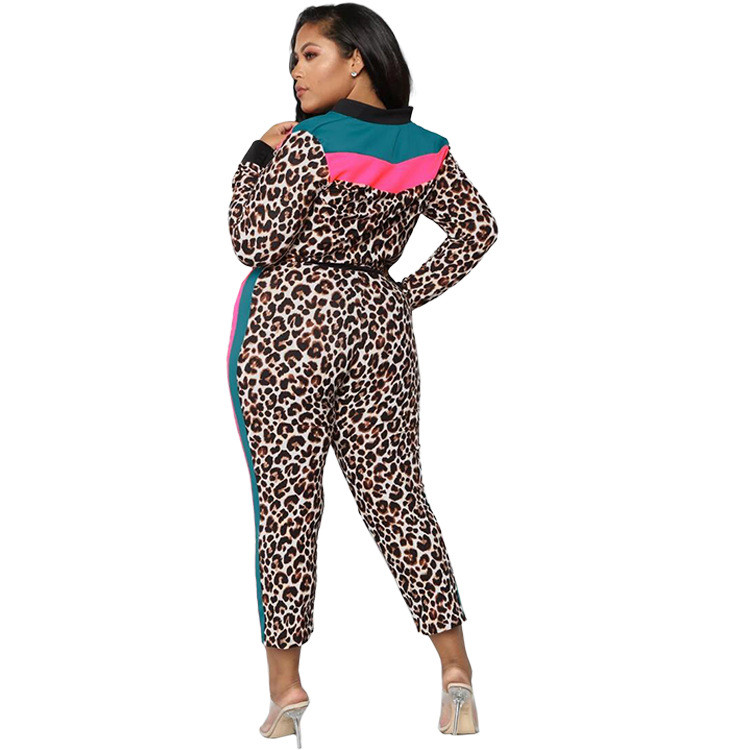 L-4XL, iarnă 2022, seturi de mărimi mari, treninguri pentru femei, cu mâneci lungi, pantaloni leopard, costume pentru femei, ținute sport, vânzare cu ridicata, dropshipping