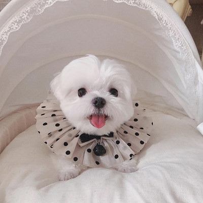 Sweet Gaze Dot Cat Aksesuāri Kaķēns Bib Dog Bandana Bowknot Cute Pet Kaklarota Jingle Bell ar Bow Cat kulonu maziem suņiem