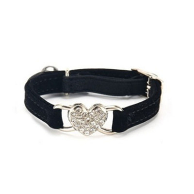 Delysia King Pet Colla